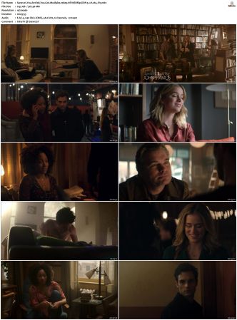 You S01 S04 1080p NF WEBRip DDP 5 1 x265-iVy