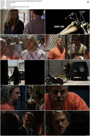 Sons of Anarchy S01 S07 SUPER-PACK 1080p WEBRip 10Bit DDP5 1 HEVC-d3g