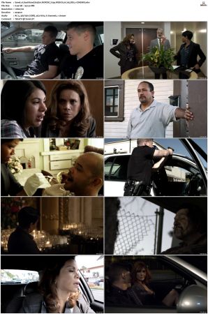 Southland S01 S05 SUPER-PACK NORDiC 720p WEB-DL H 265 DD5 1-CiNEMiX