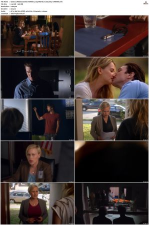 Medium S06 NORDiC 720p WEB-DL H 265 DD5 1-CiNEMiX