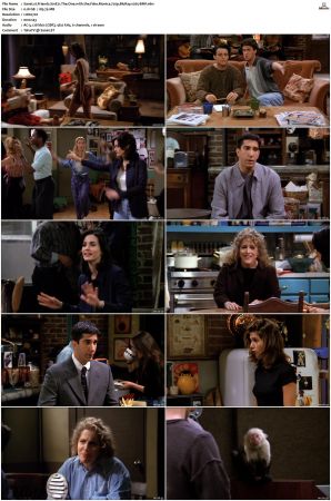 Friends S01-S10 SUPER-PACK 720p BluRay x265-BMF