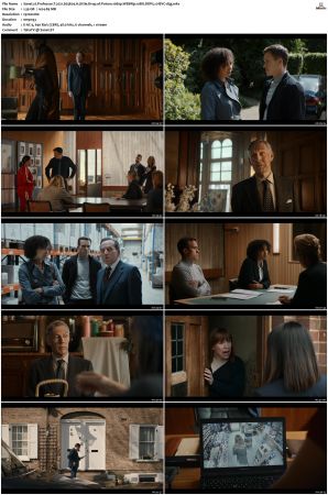 Professor T 2021 S01 S03 1080p WEBRip 10Bit DDP2 0 HEVC-d3g