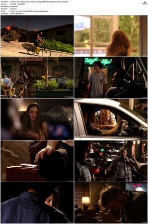 The Cleaner S01 S02 1080p AMZN WEBRip DDP 5 1 x265-iVy