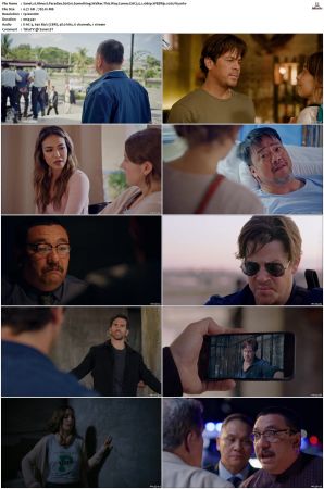Almost Paradise S01 S02 WEBRip EAC3 5 1 1080p x265-iVy