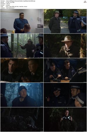 Wellington Paranormal S01 S04 720p BluRay H265 BONE