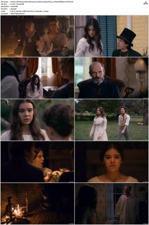 Dickinson S01 S03 SUPER-PACK WEBRip EAC3 5 1 1080p x265-iVy
