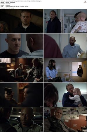 Sons of Anarchy S01-S07 SUPER-PACK 1080p WEBRip 10Bit DDP5.1 HEVC-d3g