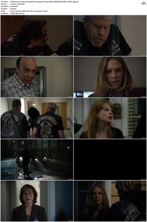 Sons of Anarchy S01 S07 SUPER-PACK 1080p WEBRip 10Bit DDP5 1 HEVC-d3g