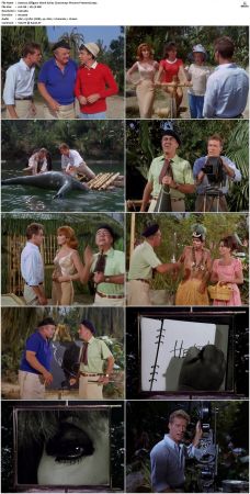 Gilligans Island S01 S03 DVDRip H264-NGP