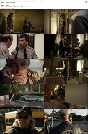 Sons of Anarchy S01 S07 SUPER-PACK 1080p WEBRip 10Bit DDP5 1 HEVC-d3g