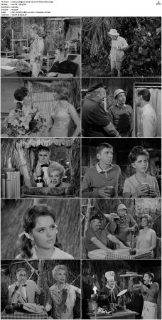 Gilligans Island S01 S03 DVDRip H264-NGP