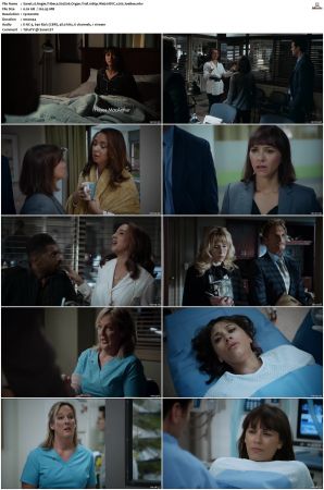 Angie Tribeca S01 S04 SUPER-PACK 1080p Web DDP5 1 HEVC x265-JoeBee