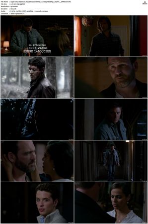 Supernatural S01 S15 WEBRip EAC3 2 0 1080p x265-iVy