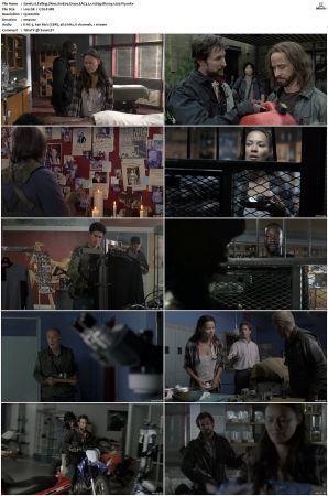 Falling Skies S01 S05 Bluray EAC3 5 1 1080p x265-iVy