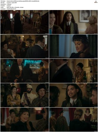 Harry Wild 2022 S01 S03 720p WEB-DL HEVC x265 BONE