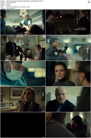 Remedy S01 S02 WEBRip EAC3 2 0 x265-iVy
