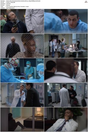 New Amsterdam S01 S05 WEBRip EAC3 5 1 1080p x265-iVy