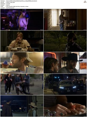 Walker S01 S04 WEBRip EAC3 5 1 1080p x265-iVy