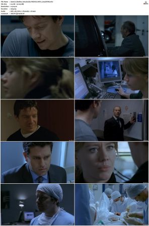 Bodies 2004 S01 S02 WEB-DL HEVC x265 BONE