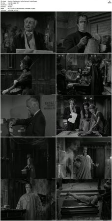 The Munsters 1964 S01 S02 DVDRip MPEG-NGP
