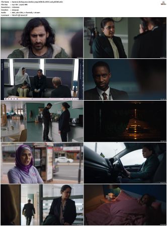 DI Ray 2022 S01 S02 720p WEB-DL HEVC x265 BONE
