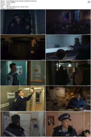 Wellington Paranormal S01 S04 720p BluRay H265 BONE