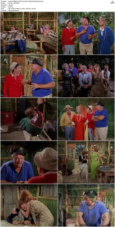 Gilligans Island S01 S03 DVDRip H264-NGP