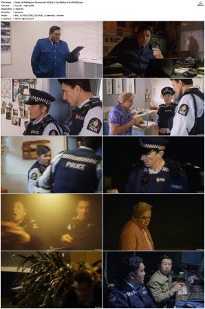 Wellington Paranormal S01 S04 720p BluRay H265 BONE