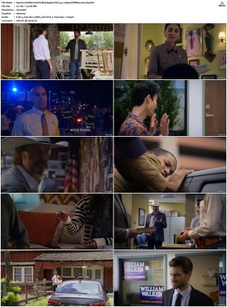 Walker S01 S04 WEBRip EAC3 5 1 1080p x265-iVy