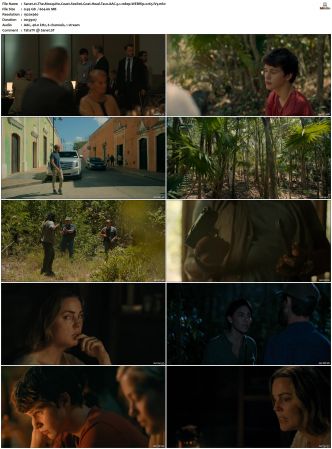The Mosquito Coast 2021 S01 S02 SUPER-PACK WEBRip AAC 5 1 1080p x265-iVy