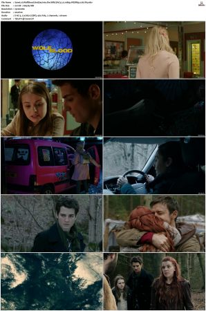 Wolfblood S01-S05 1080p WEBRip EAC3 2.0 x265-iVy