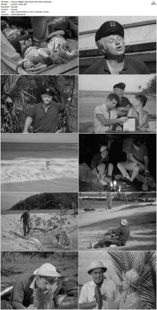 Gilligans Island S01 S03 DVDRip H264-NGP