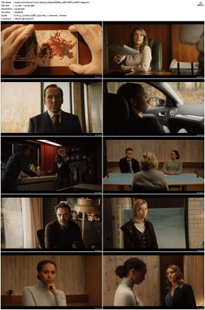 Professor T 2021 S01 S03 1080p WEBRip 10Bit DDP2 0 HEVC-d3g