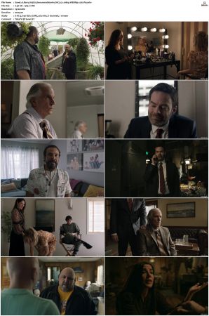 Barry S01 S04 SUPER-PACK WEBRip EAC3 5 1 1080p x265-iVy