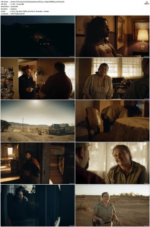 The Tourist S01 S02 WEBRip EAC3 5 1 1080p x265-iVy