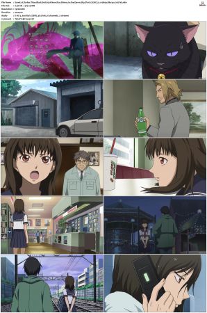 Darker Than Black S01 S02 Bluray EAC3 5 1 1080p x265-iVy