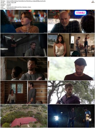Walker S01 S04 WEBRip EAC3 5 1 1080p x265-iVy