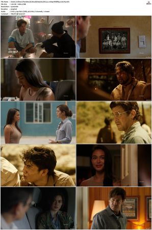 Almost Paradise S01 S02 WEBRip EAC3 5 1 1080p x265-iVy