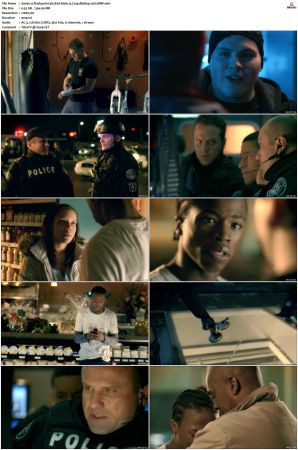 Flashpoint S01 S05 SUPER-PACK 720p BluRay x265-BMF