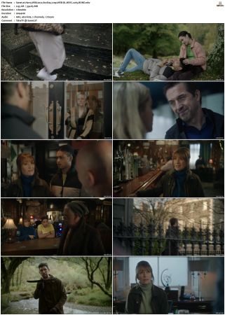 Harry Wild 2022 S01 S03 720p WEB-DL HEVC x265 BONE