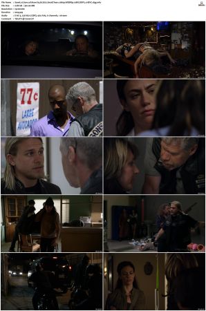 Sons of Anarchy S01 S07 SUPER-PACK 1080p WEBRip 10Bit DDP5 1 HEVC-d3g