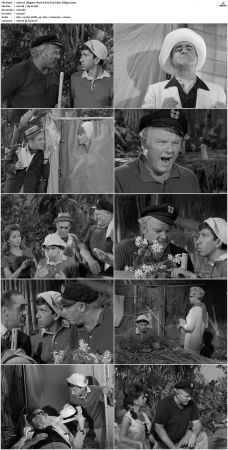 Gilligans Island S01 S03 DVDRip H264-NGP
