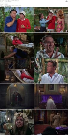 Gilligans Island S01 S03 DVDRip H264-NGP