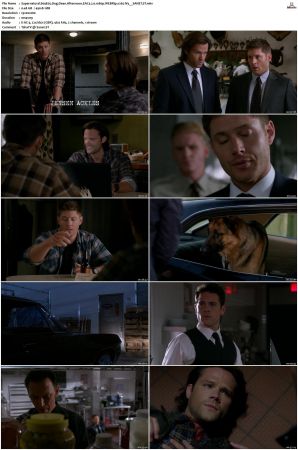 Supernatural S01 S15 WEBRip EAC3 2 0 1080p x265-iVy