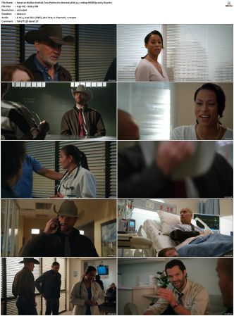 Walker S01 S04 WEBRip EAC3 5 1 1080p x265-iVy