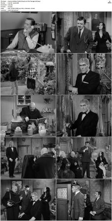 The Addams Family 1964 S01-S02 DVDRip X264-NGP