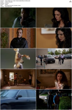 Alphas S01 S02 1080p BluRay x265 HEVC 10bit AAC 5 1 Silence