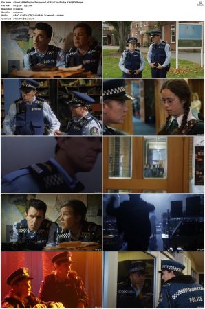 Wellington Paranormal S01 S04 720p BluRay H265 BONE