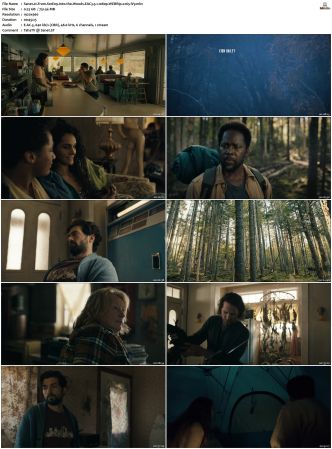 From S01 S02 WEBRip EAC3 5 1 x265-iVy