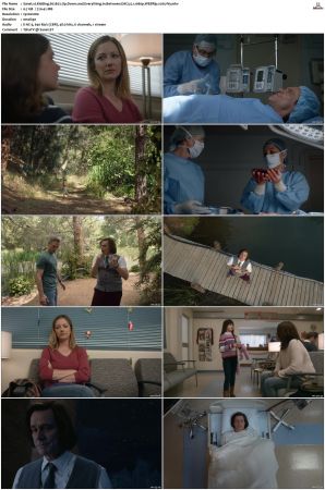 Kidding S01 S02 WEBRip EAC3 5 1 1080p x265-iVy